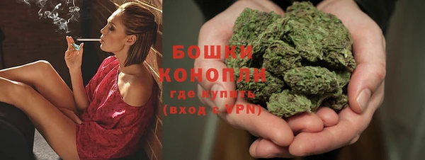 дживик Зеленокумск