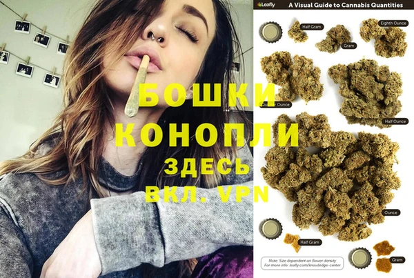 дживик Зеленокумск
