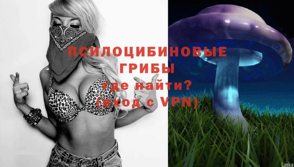 mdma Зерноград