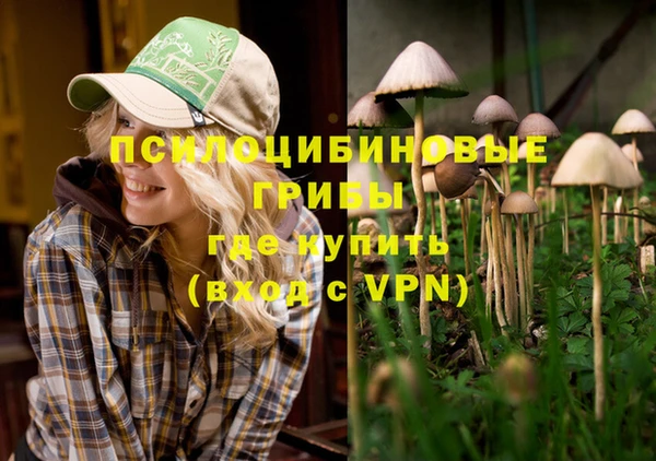 mdma Зерноград
