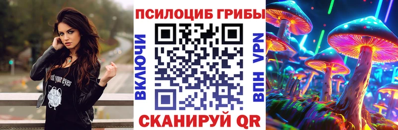 Псилоцибиновые грибы GOLDEN TEACHER  Купить  Барабинск 